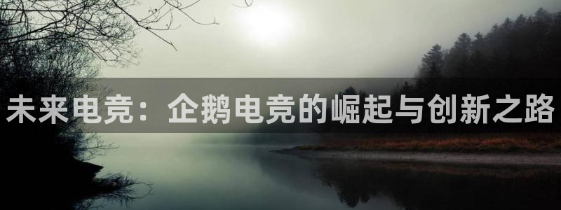 小艾电竞app：未来电竞：企鹅电竞的崛起与创新之路