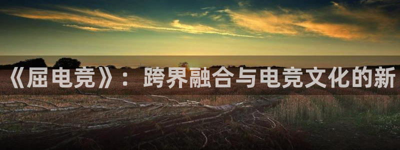 小艾电竞官网