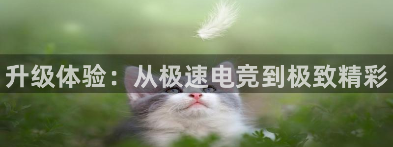 小艾电竞网页版登录