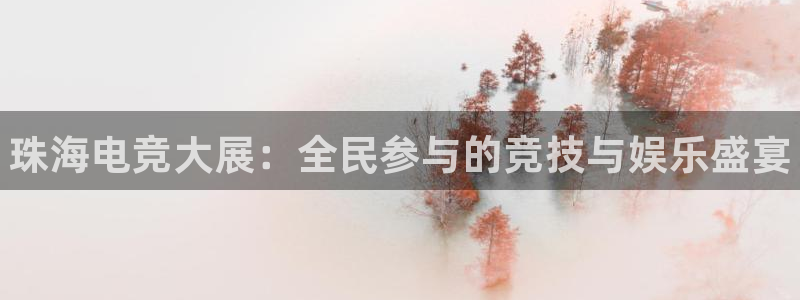 小艾电竞app：珠海电竞大展：全民参与的竞技与娱乐盛宴