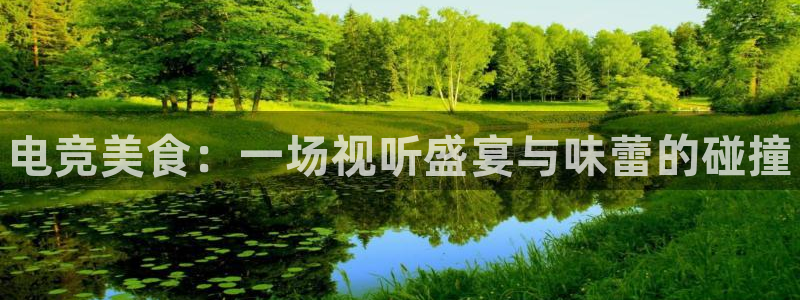 小艾电竞平台：电竞美食：一场视听盛宴与味蕾的碰撞
