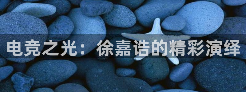 小艾电竞平台官方网：电竞之光：徐嘉诰的精彩演绎
