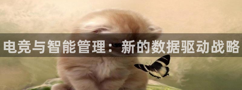小艾电竞app