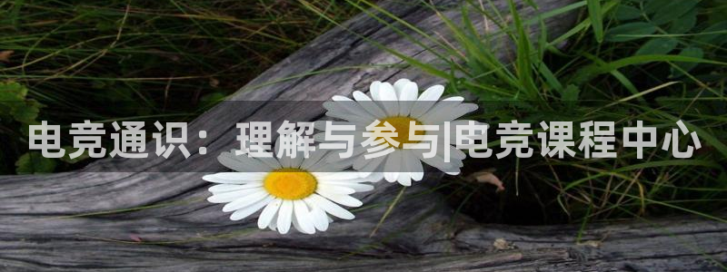 小艾电竞app下载官网