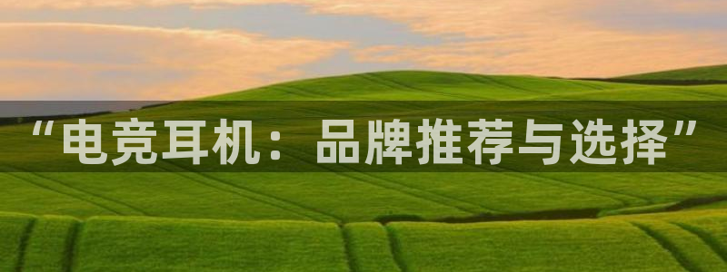 小艾电竞平台官方网：“电竞耳机：品牌推荐与选择”