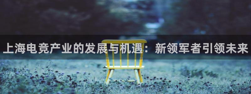 小艾电竞网页版登录：上海电竞产业的发展与机遇：新领军者引领未来