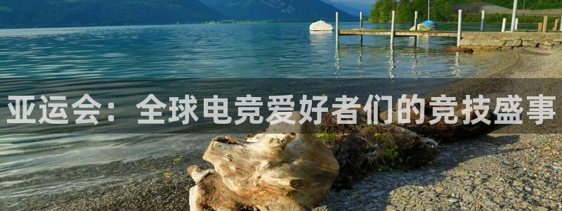 小艾电竞网页版登录：亚运会：全球电竞爱好者们的竞技盛事