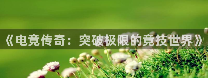 小艾电竞官网：《电竞传奇：突破极限的竞技世界》