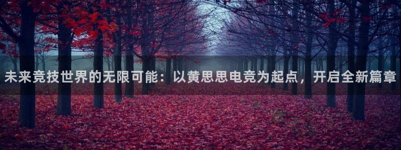 小艾电竞app下载官网：未来竞技世界的无限可能：以黄思思电竞为起点，开启全新篇章