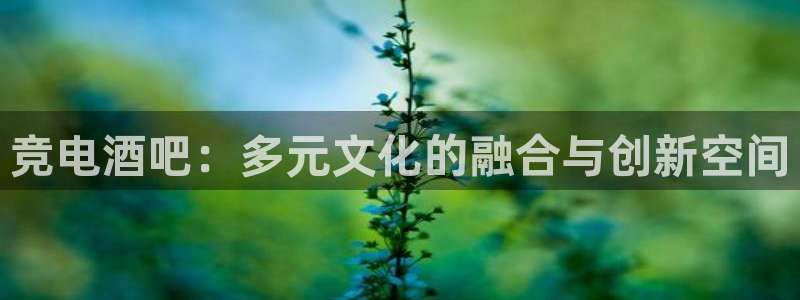 小艾电竞网页版登录：竞电酒吧：多元文化的融合与创新空间