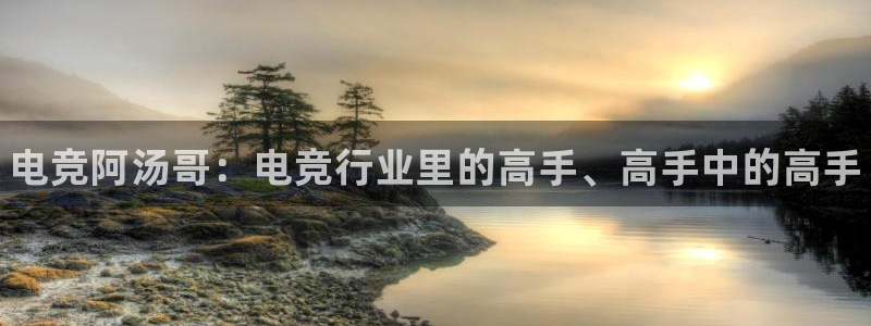 小艾电竞app下载官网：电竞阿汤哥：电竞行业里的高手、高手中的高手