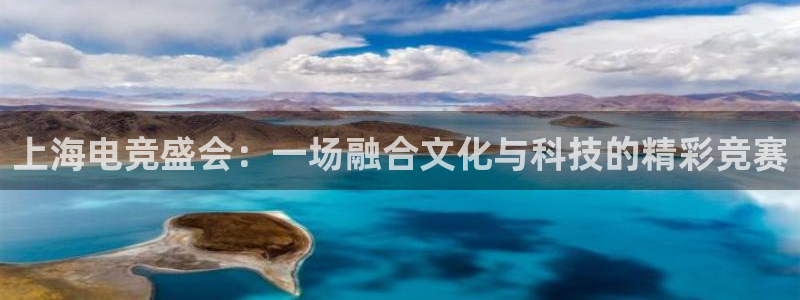 小艾电竞：上海电竞盛会：一场融合文化与科技的精彩竞赛