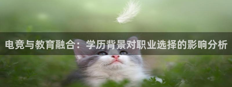 小艾电竞：电竞与教育融合：学历背景对职业选择的影响分析