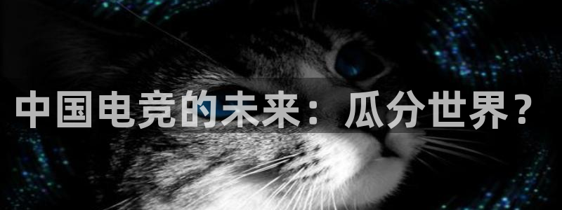 小艾电竞平台官方网：中国电竞的未来：瓜分世界？