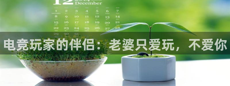 小艾电竞平台官方网：电竞玩家的伴侣：老婆只爱玩，不爱你