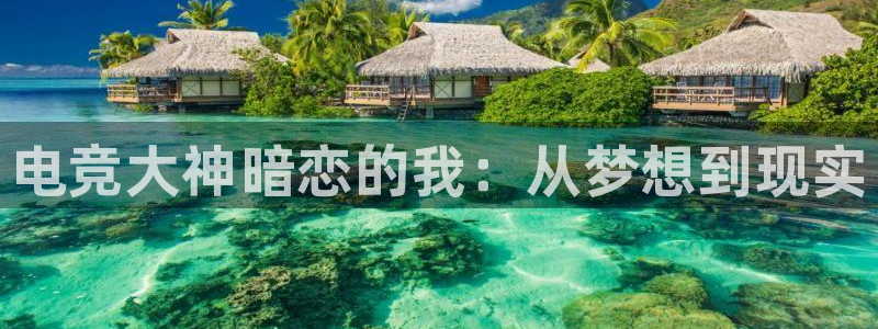 小艾电竞：电竞大神暗恋的我：从梦想到现实