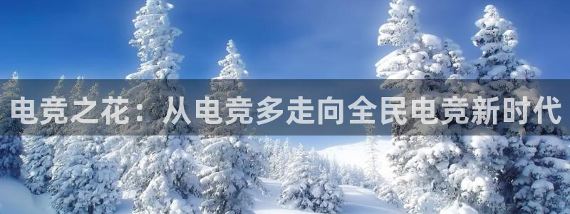 小艾电竞网页版登录：电竞之花：从电竞多走向全民电竞新时代