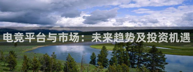 小艾电竞官网：电竞平台与市场：未来趋势及投资机遇