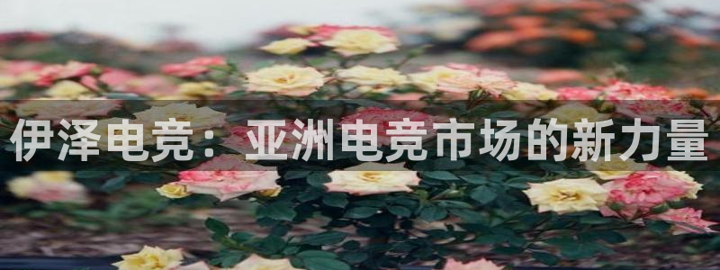 小艾电竞网页版登录：伊泽电竞：亚洲电竞市场的新力量