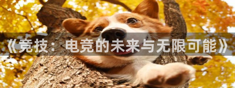 小艾电竞网页版登录：《竞技：电竞的未来与无限可能》