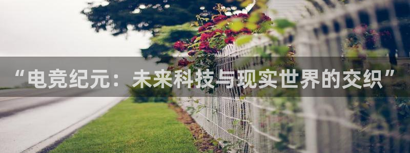 小艾电竞平台：“电竞纪元：未来科技与现实世界的交织”