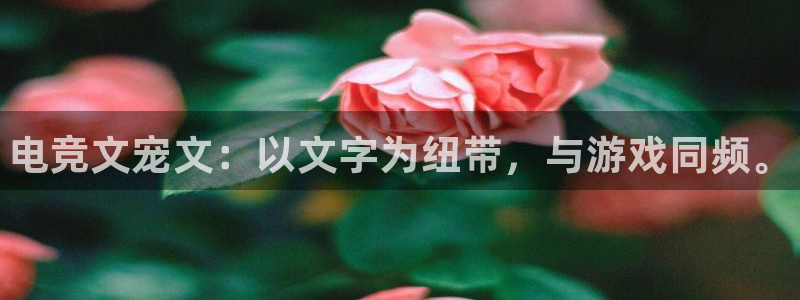 小艾电竞官网：电竞文宠文：以文字为纽带，与游戏同频。