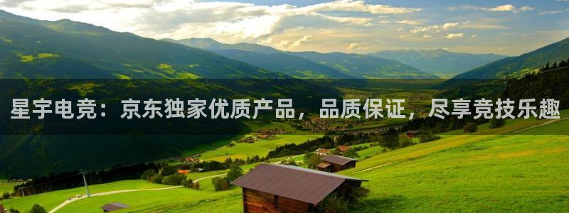 小艾电竞app下载官网：星宇电竞：京东独家优质产品，品质保证，尽享竞技乐趣