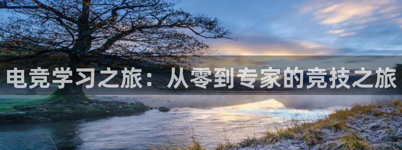 小艾电竞app下载官网：电竞学习之旅：从零到专家的竞技之旅