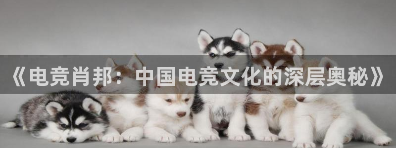 小艾电竞app：《电竞肖邦：中国电竞文化的深层奥秘》