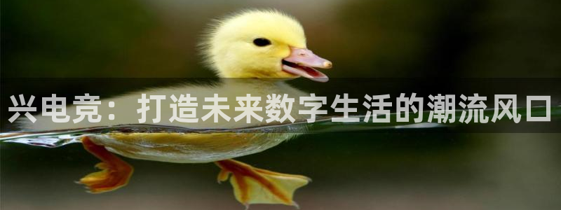 小艾电竞app下载官网：兴电竞：打造未来数字生活的潮流风口