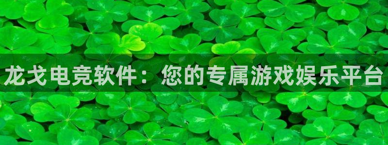 小艾电竞app：龙戈电竞软件：您的专属游戏娱乐平台