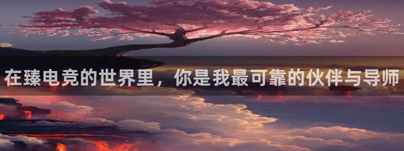 小艾电竞网页版登录：在臻电竞的世界里，你是我最可靠的伙伴与导师