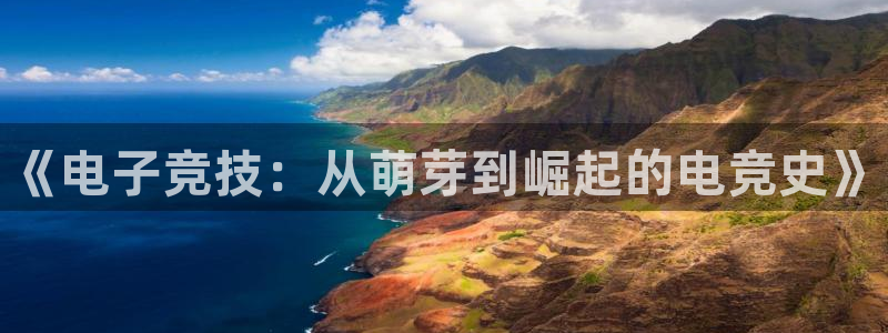 小艾电竞：《电子竞技：从萌芽到崛起的电竞史》