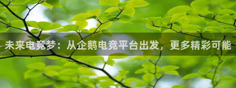 小艾电竞：未来电竞梦：从企鹅电竞平台出发，更多精彩可能
