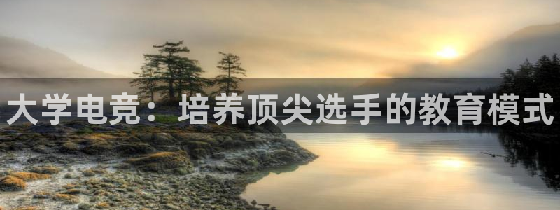 小艾电竞：大学电竞：培养顶尖选手的教育模式