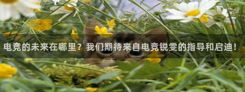 小艾电竞平台官方网：电竞的未来在哪里？我们期待来自电竞锐雯的指导和启迪！