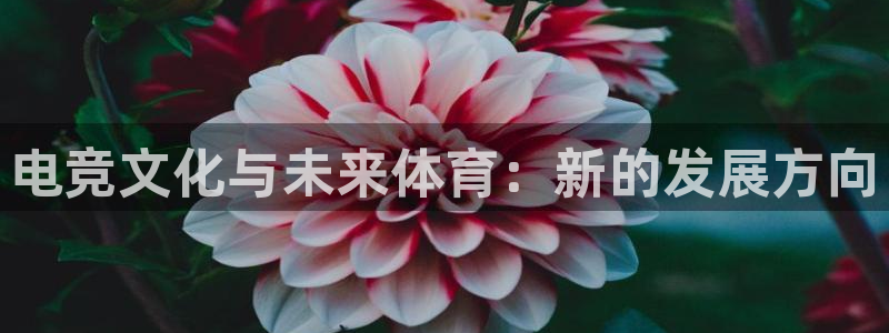 小艾电竞官网：电竞文化与未来体育：新的发展方向