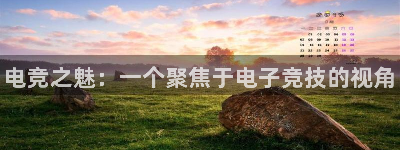 小艾电竞app下载官网：电竞之魅：一个聚焦于电子竞技的视角