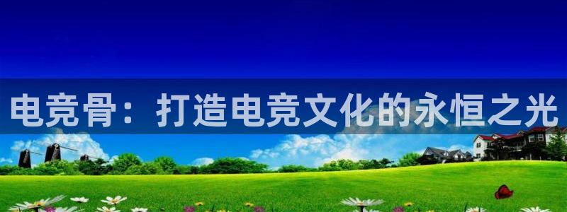 小艾电竞：电竞骨：打造电竞文化的永恒之光