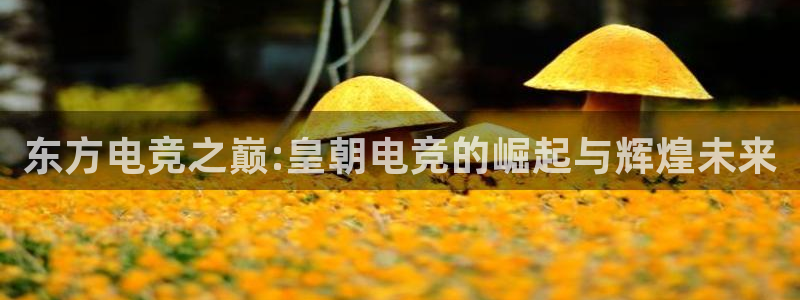 小艾电竞平台官方网：东方电竞之巅:皇朝电竞的崛起与辉煌未来