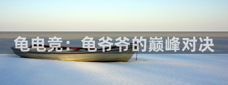 小艾电竞官网：龟电竞：龟爷爷的巅峰对决
