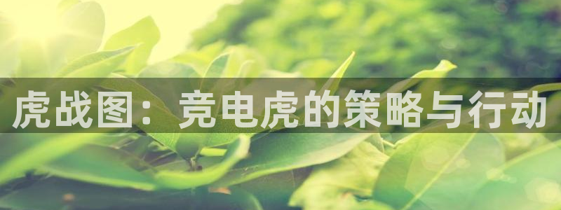 小艾电竞app下载官网：虎战图：竞电虎的策略与行动
