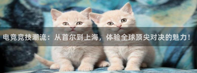 小艾电竞平台官方网：电竞竞技潮流：从首尔到上海，体验全球顶尖对决的魅力！