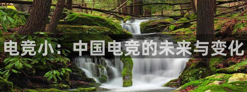 小艾电竞：电竞小：中国电竞的未来与变化