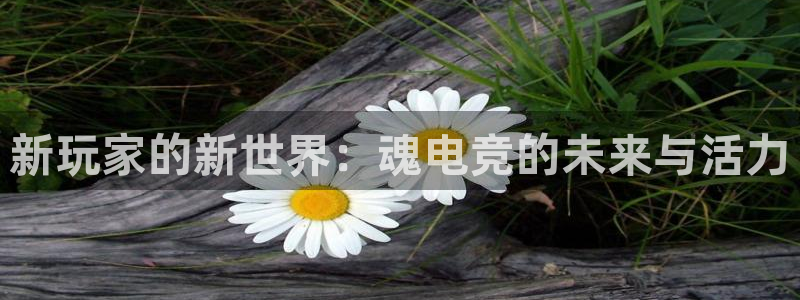 小艾电竞官网