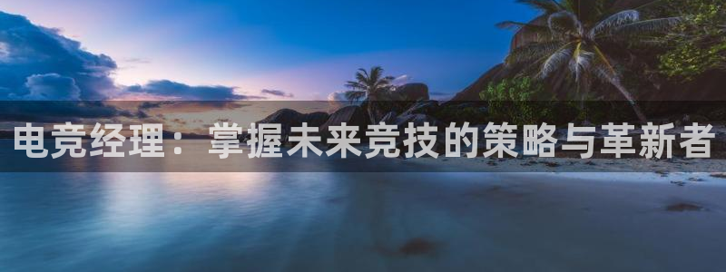 小艾电竞：电竞经理：掌握未来竞技的策略与革新者