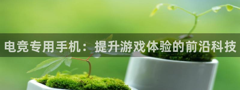 小艾电竞：电竞专用手机：提升游戏体验的前沿科技