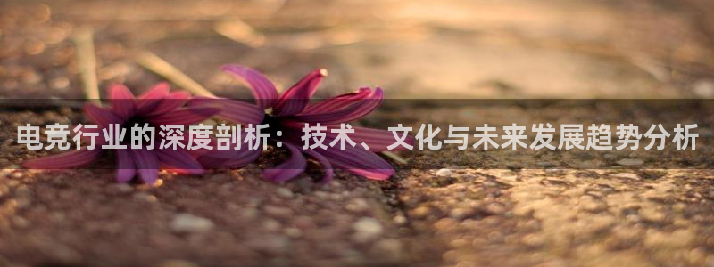 小艾电竞官网：电竞行业的深度剖析：技术、文化与未来发展趋势分析