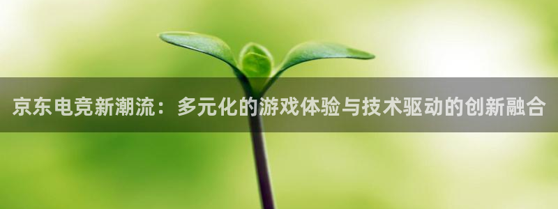 小艾电竞平台：京东电竞新潮流：多元化的游戏体验与技术驱动的创新融合